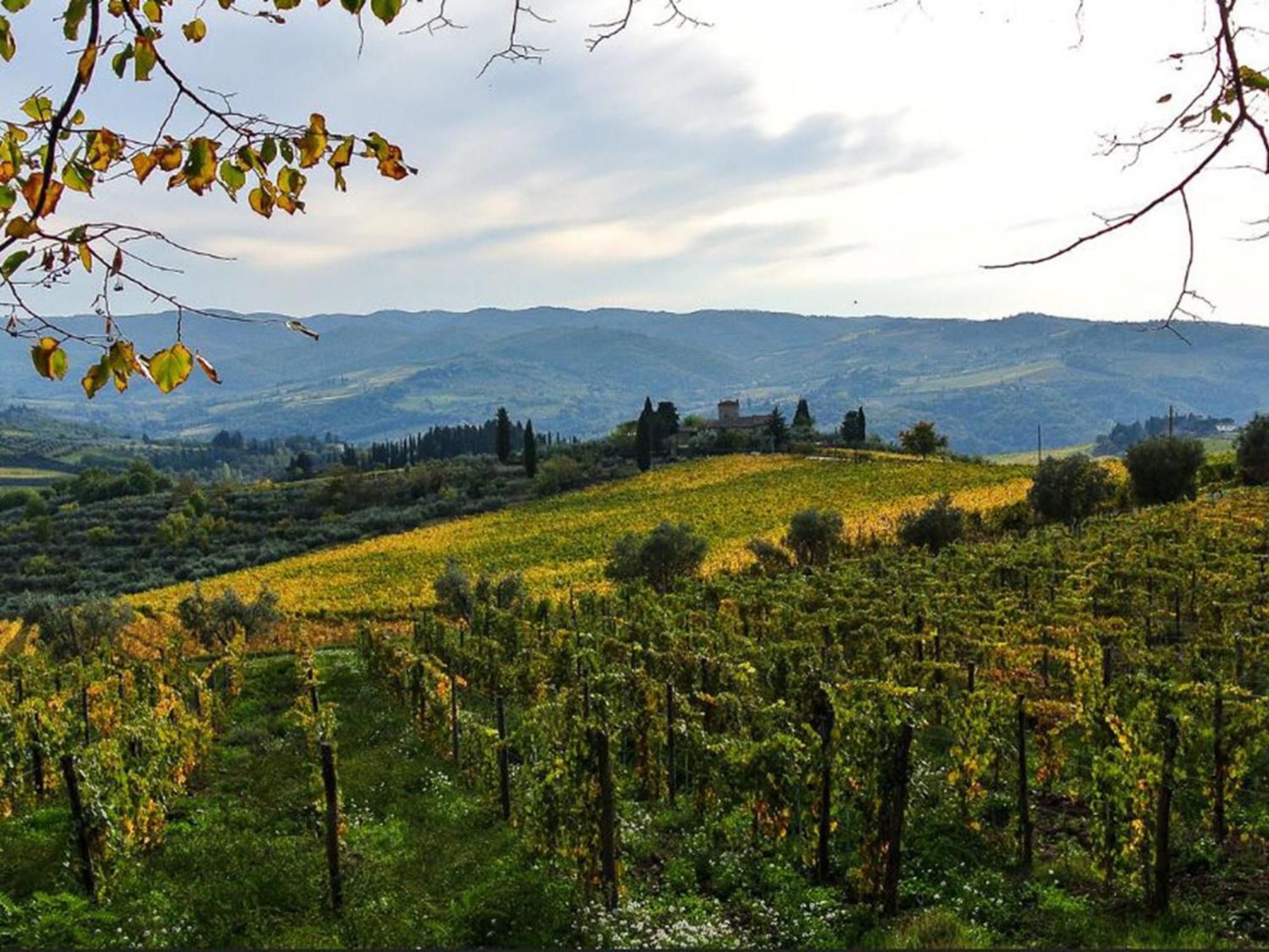 Holiday Home La Torre By Interhome Lucolena in Chianti Bagian luar foto