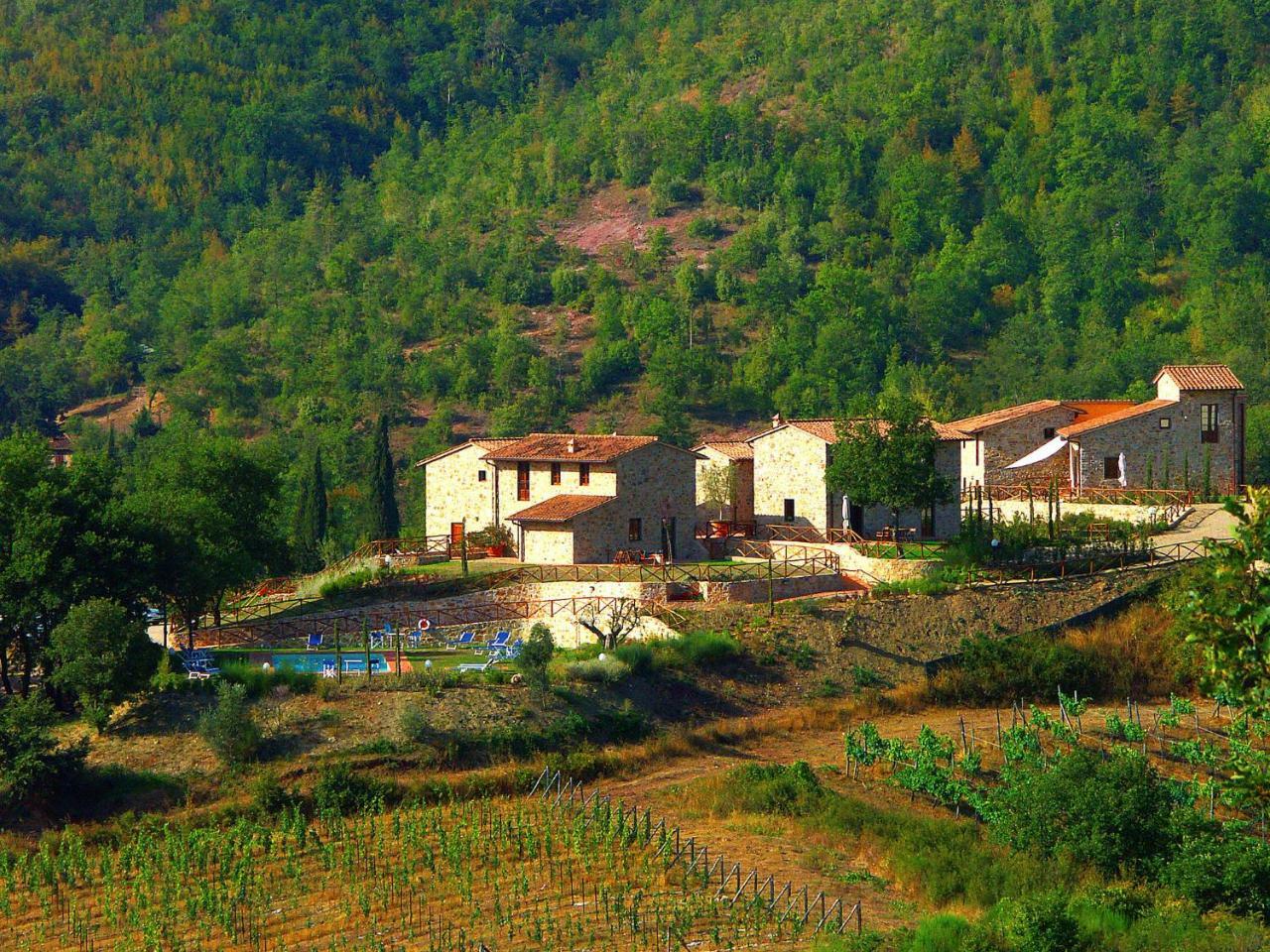 Holiday Home La Torre By Interhome Lucolena in Chianti Bagian luar foto